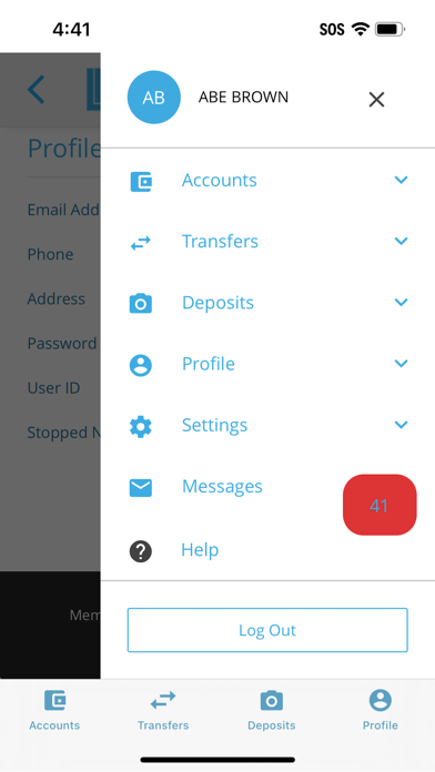 Buena Vista National Bank Screenshot