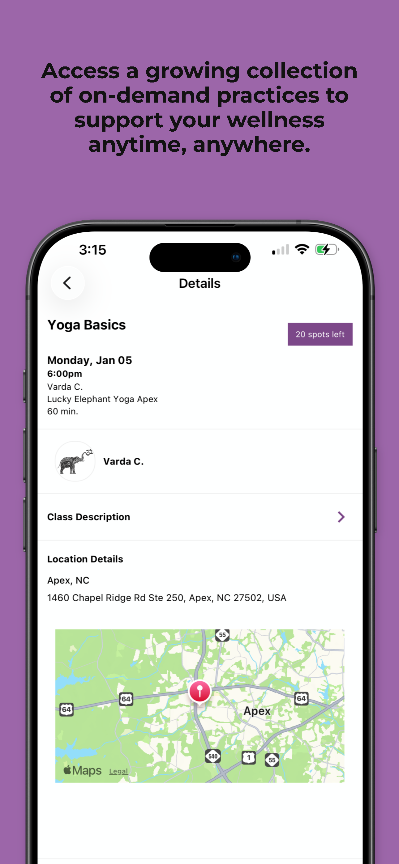 Lucky Elephant Yoga & Wellness screenshot 4