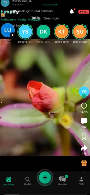 Loopify: Short Video Loops screenshot 3