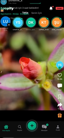 Loopify EN 2026 screenshot