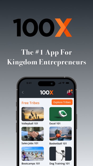 100X - Kingdom Wealth Screenshot