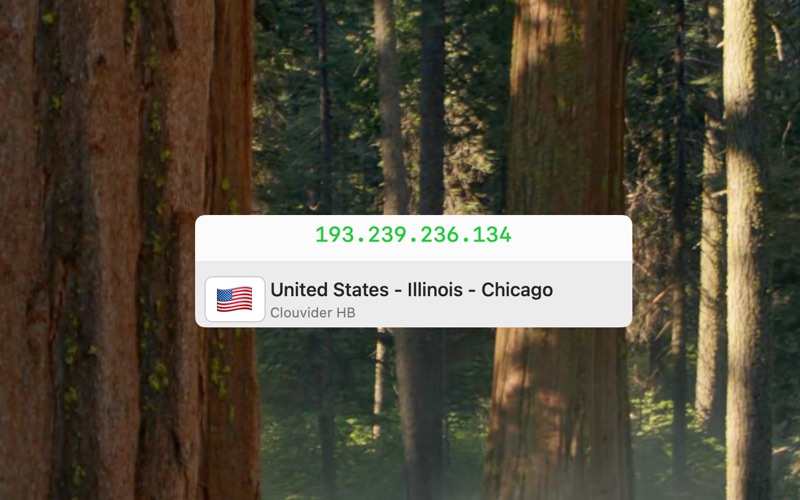 IPShow -VPN IP always in sight iPhone screenshot