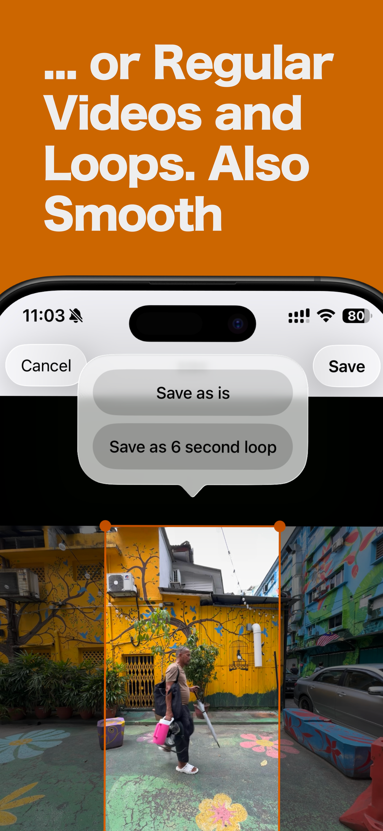 Live Photo to Video: TimeDrip screenshot 4