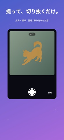 NyanCard screenshot