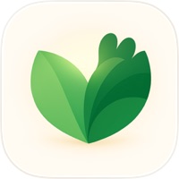 日记 – Hope Tree