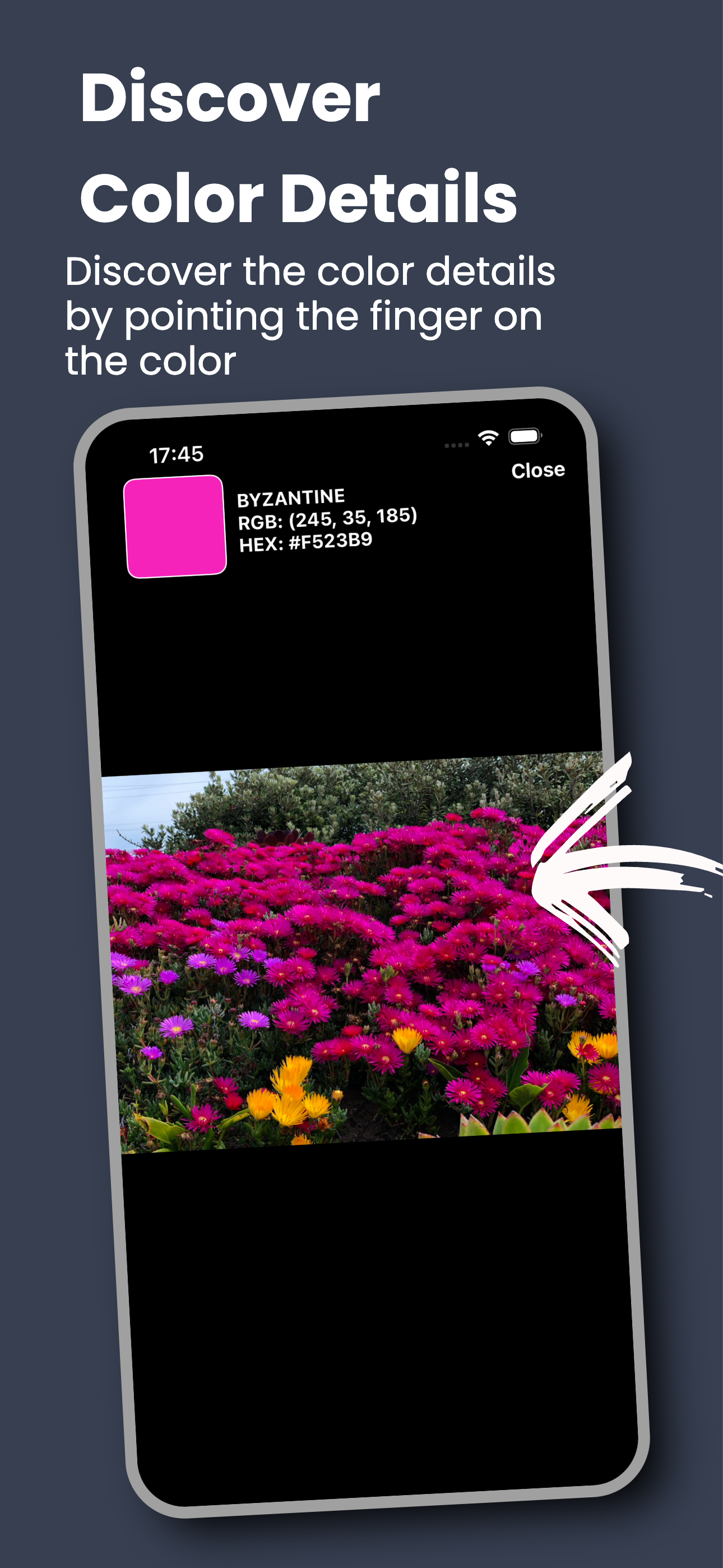 Color Analysis Lite screenshot 3