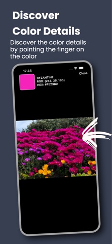 Color Analysis Lite screenshot