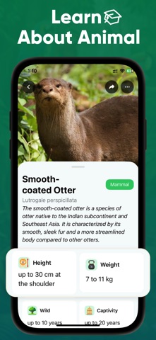 Animal Identifier - Beast ID screenshot