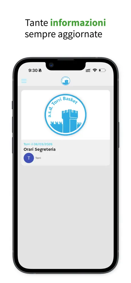 Torri Basket screenshot 4