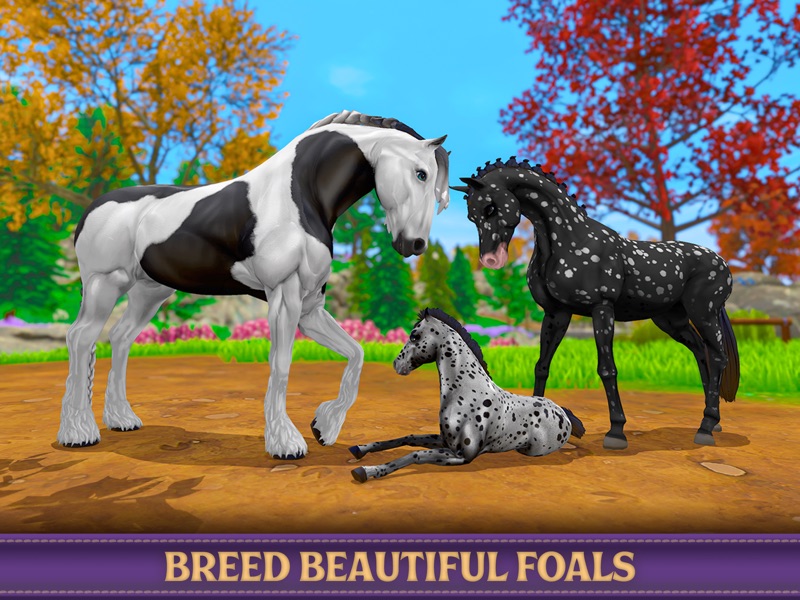 Star Equestrian - Horse Ranch screenshot 11