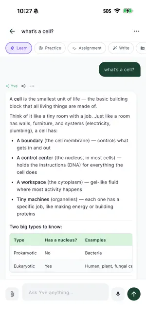 Yve AI Study Companion screenshot 2