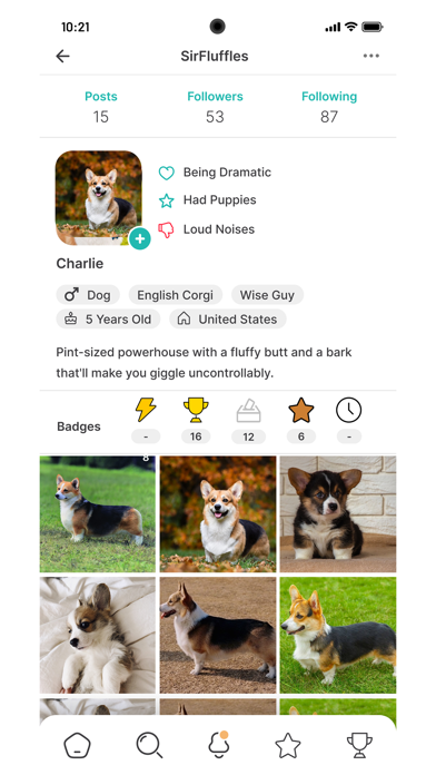 PetTopia Screenshot