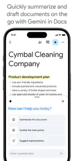 Google Docs screenshot 4
