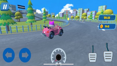 Pet Racing Kart Driving Game Screenshot