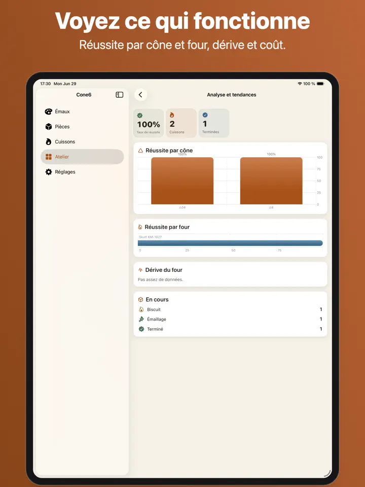 Cone6 sur iPad : capture d’écran 6 sur 8