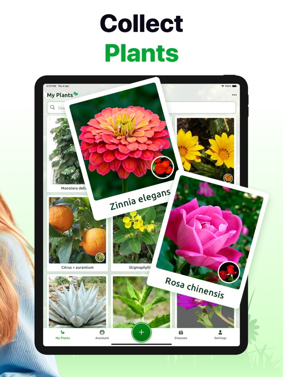 Plant ID: Nature Identifier AIのおすすめ画像6