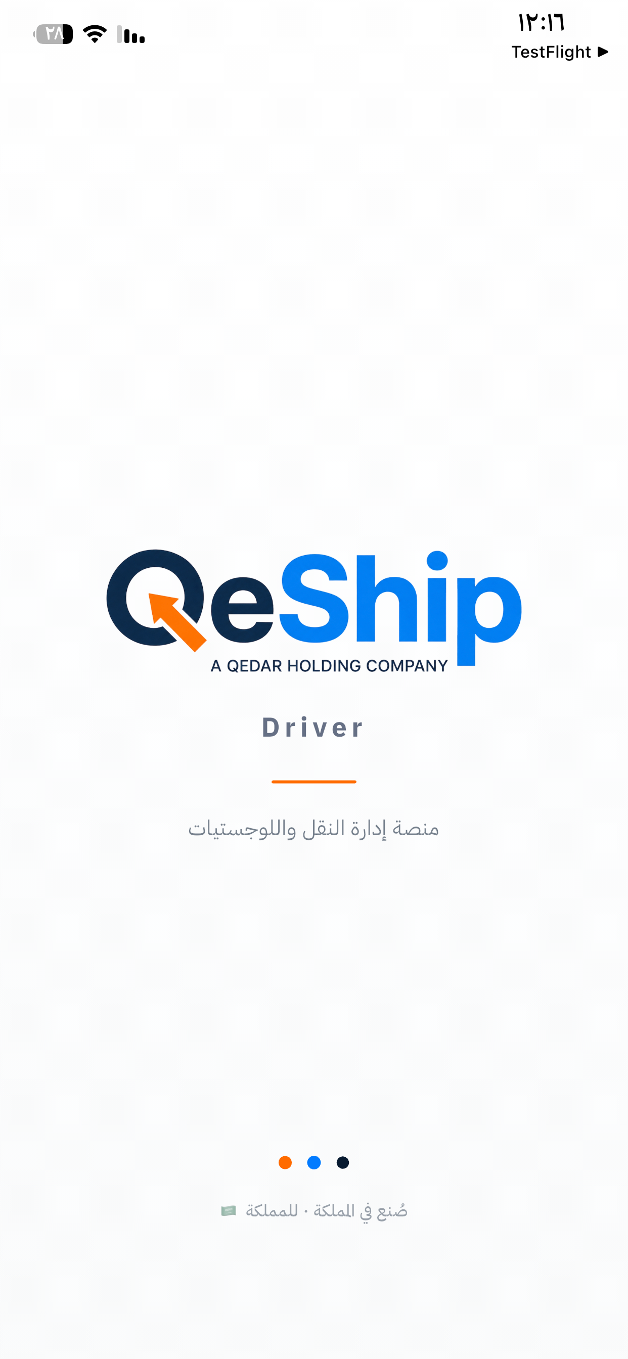 Q-Driver screenshot 3