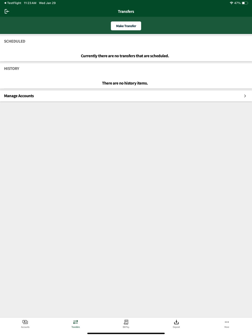 iPad screenshot