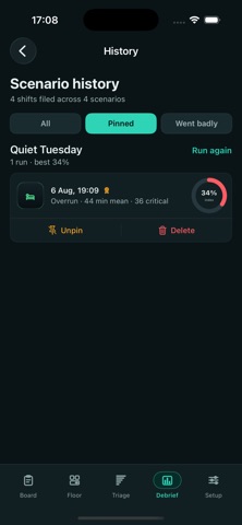 Triageload screenshot 1