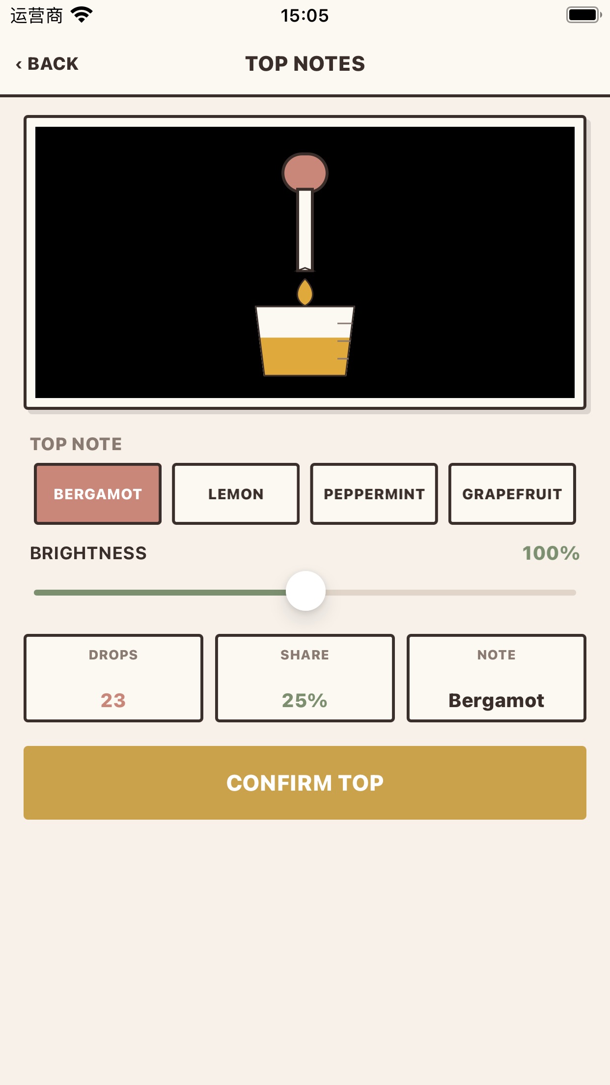 Screenshot 4 of LumeraToskin