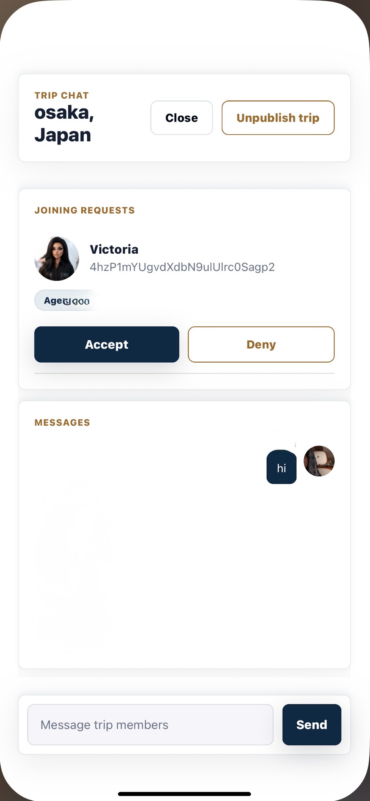 Voyageurs screenshot 5
