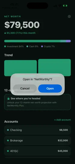 Captura de pantalla de NetWorthly en iPhone 2