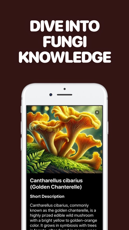 Identify Mushrooms with AI