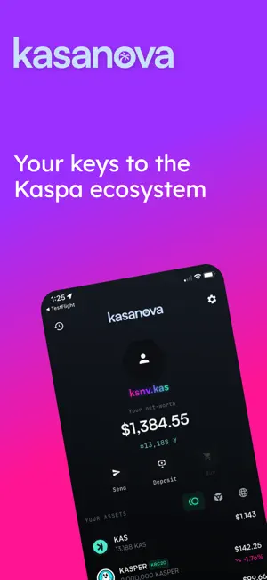 Kasanova - The Kaspa Wallet screenshot 1