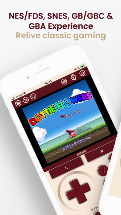 NiN10: Nintendo Emulator iPhone screenshot 1 - Entertainment app