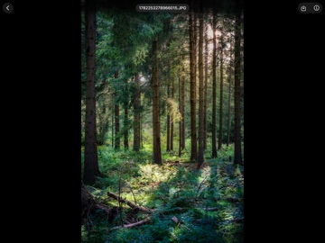 Photos+ Cloud Library iPad screenshot