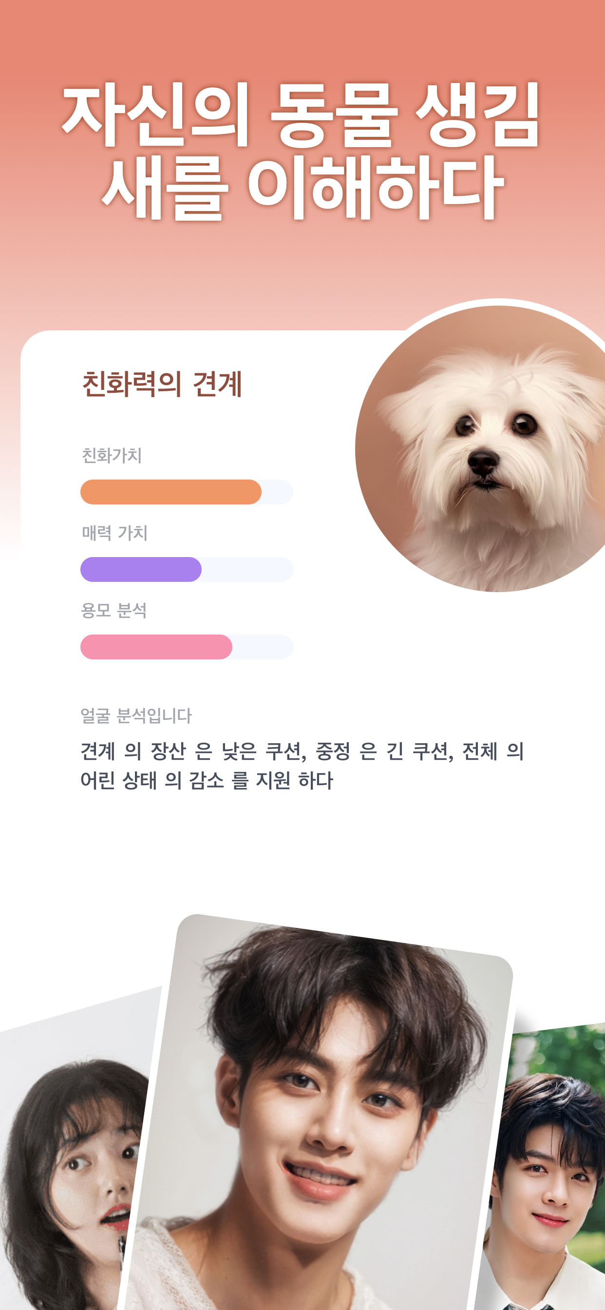 AnimalFace-looksmax ai score