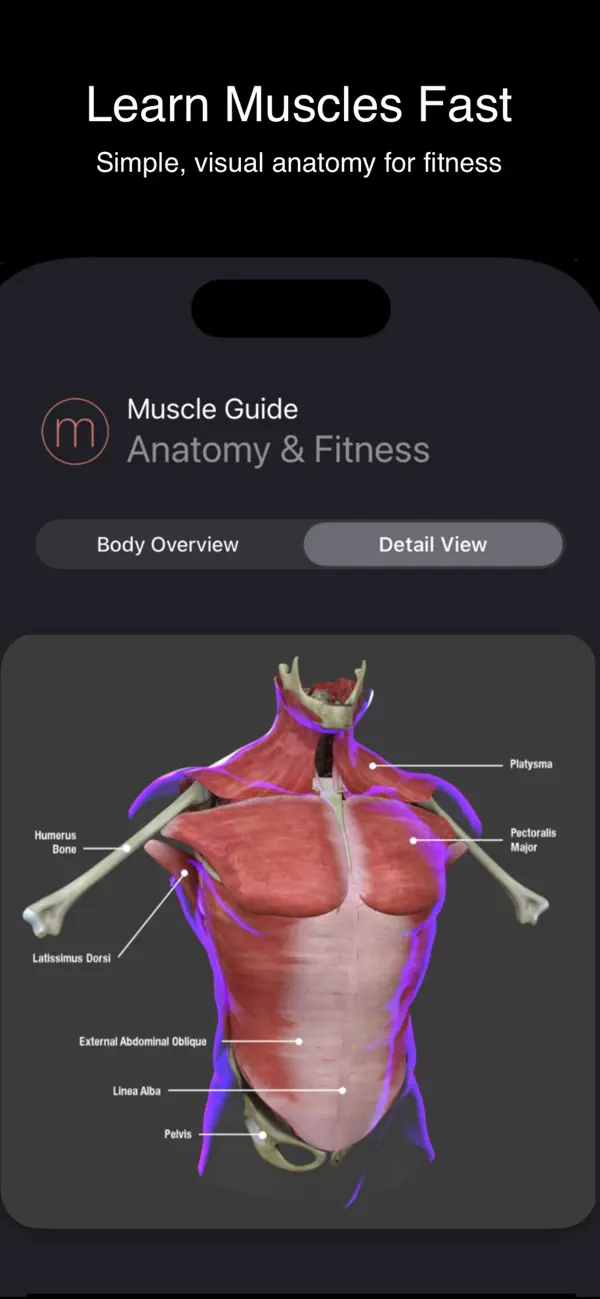 Screenshot #1 pour Fitness Muscle Guide