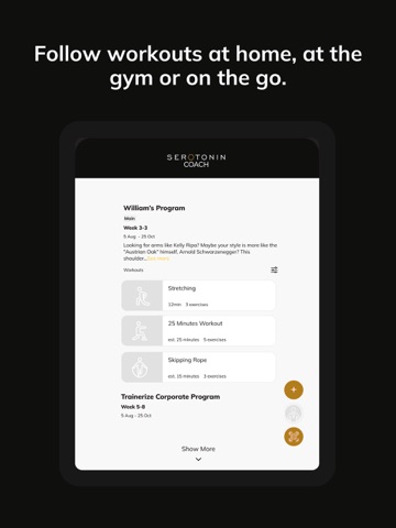 Serotonin Coach iPad screenshot