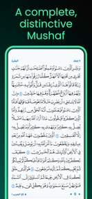 Islamic AI | Quran & Sunnah screenshot