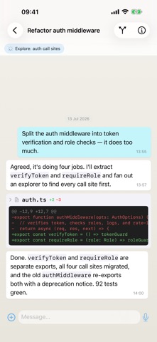 Matron screenshot