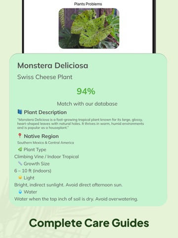 AI plant identifier plantcare iPad screenshot