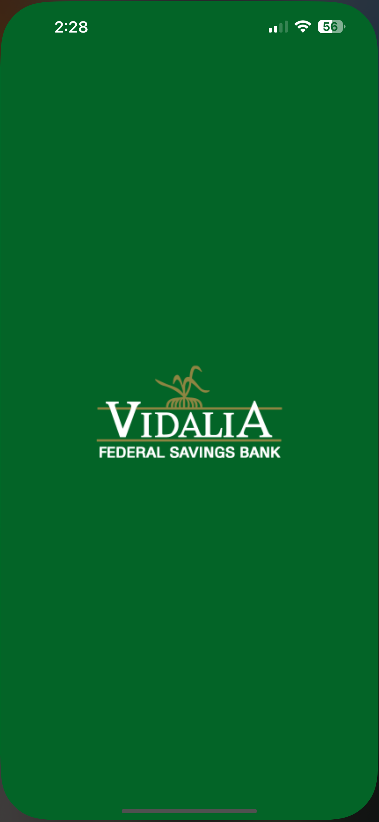 Vidalia Federal Mobile screenshot 5