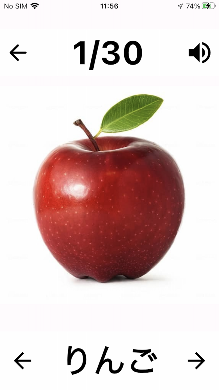 Flashcard Japanese beginner