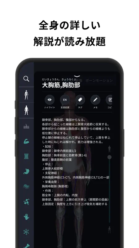 チームラボボディ 人体の解剖学 筋肉 解剖 骨格 3d模型 screenshot 6 of 7