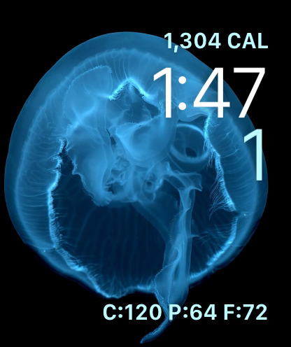 Fuel: Modern Calorie Tracking