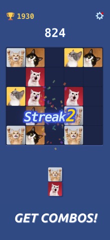Snapmatch! Fun Puzzle Game screenshot