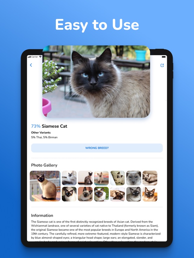 How to Find Cat Breed: Ultimate Guide to Identify Your Feline