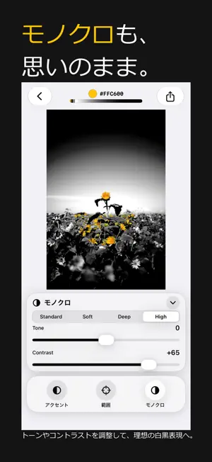 Accent - Selective Color screenshot 4