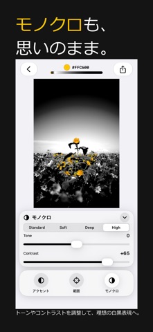 Accent - Selective Color iPhone screenshot 4