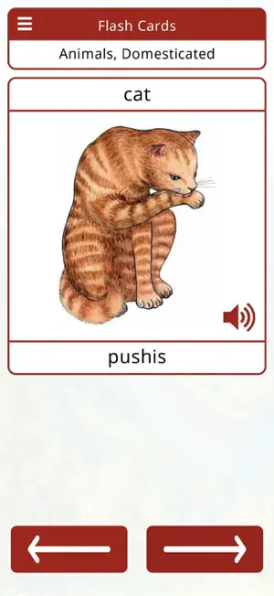 Lenape Vocab Builder screenshot 4