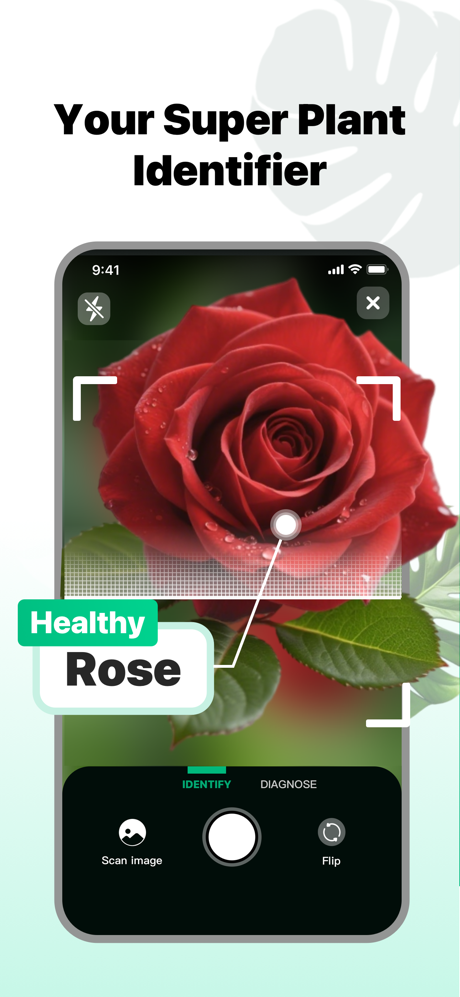 AI Plant - What Plant is this screenshot 1