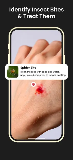 Insect Bug Identifier & Finder screenshot 4
