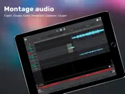 soundlab - audio editor iPad Captures Décran 1