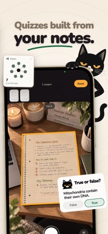 Lotli - Study Smarter Screenshot 3 of 5