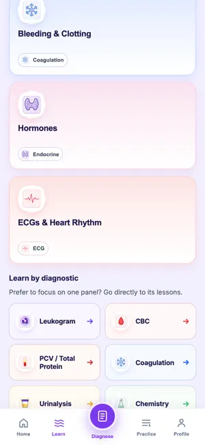 Vetalingo screenshot 4